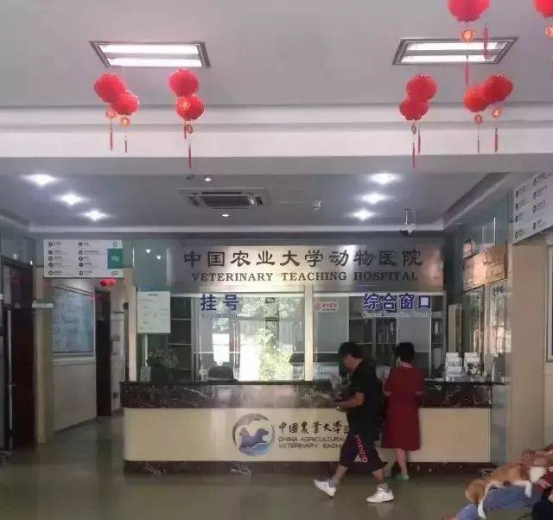 中國農業大學動物醫院